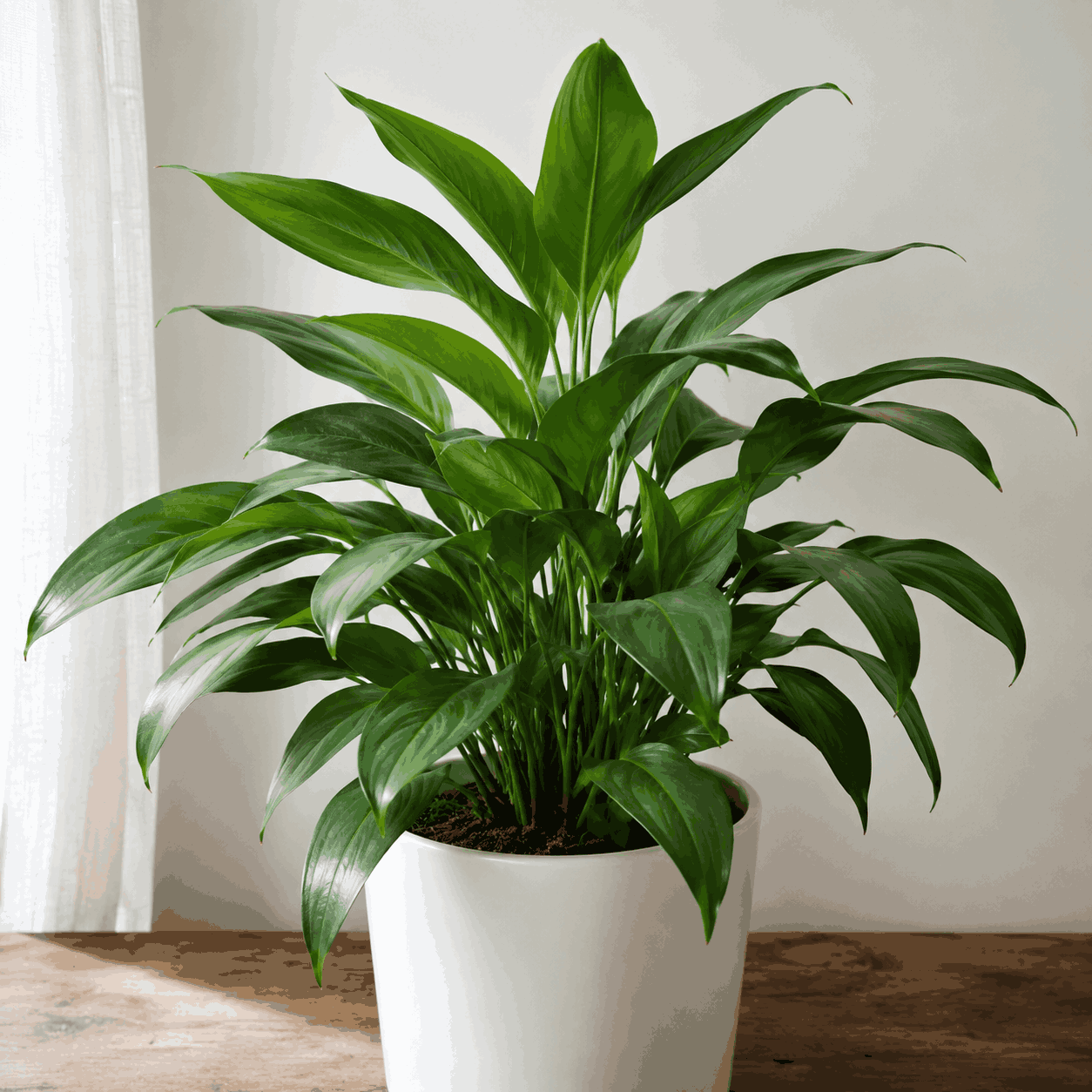 files/ChatGPT_Image_Jul_16_2026_10_44_21_AM_2.png