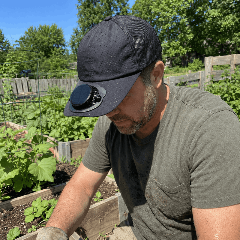 James P. — US, New Mexico